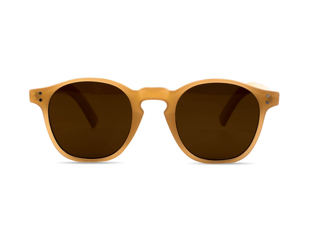 Sunglasses SG3530