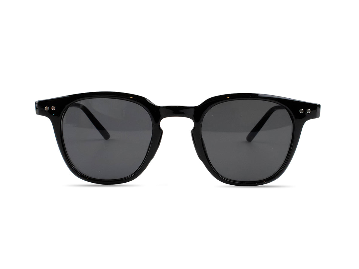 Sunglasses SG3531