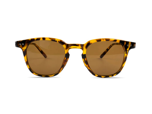Sunglasses SG3531