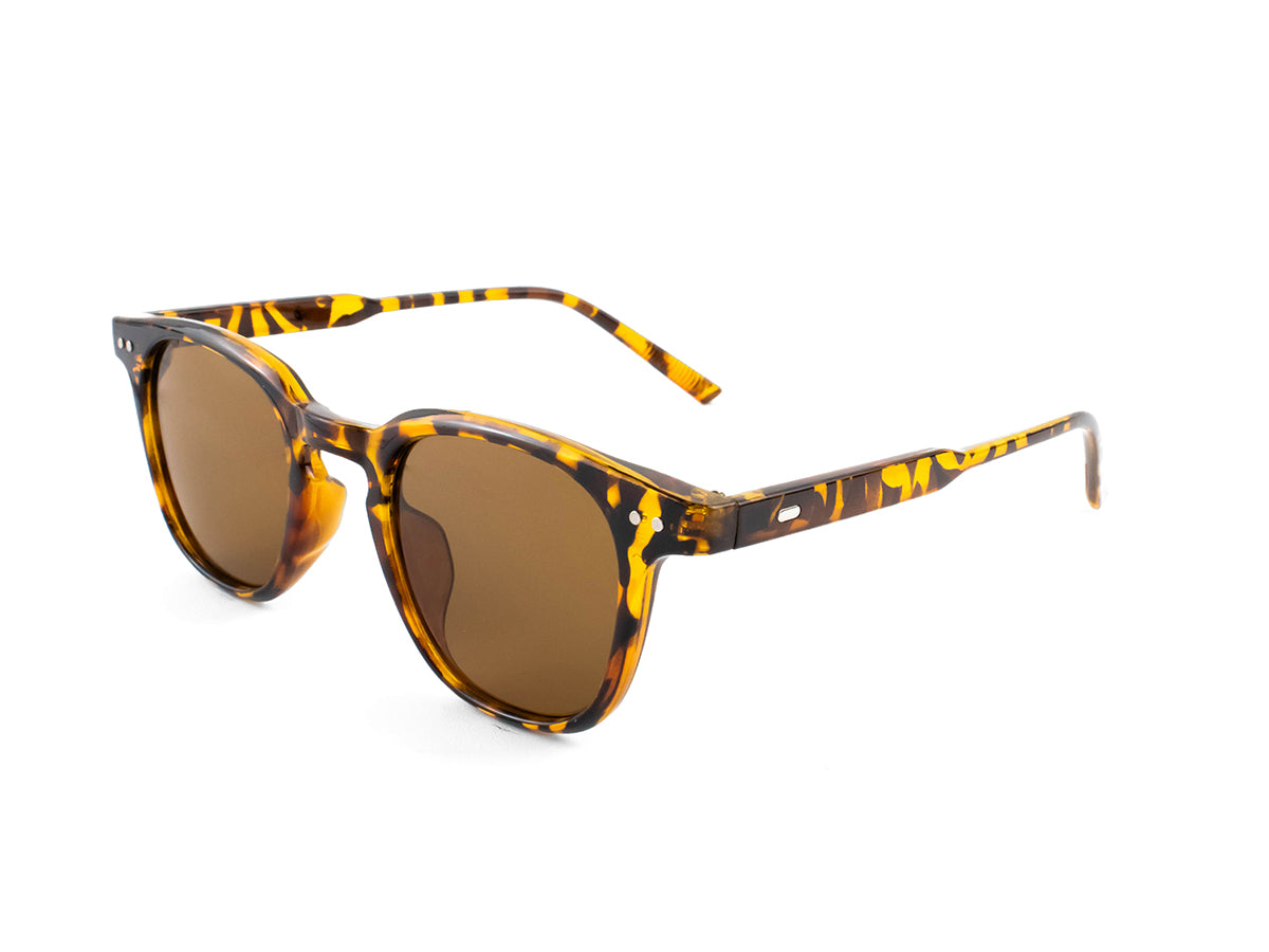 Sunglasses SG3531