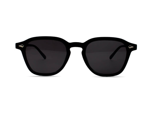 Sunglasses SG3542