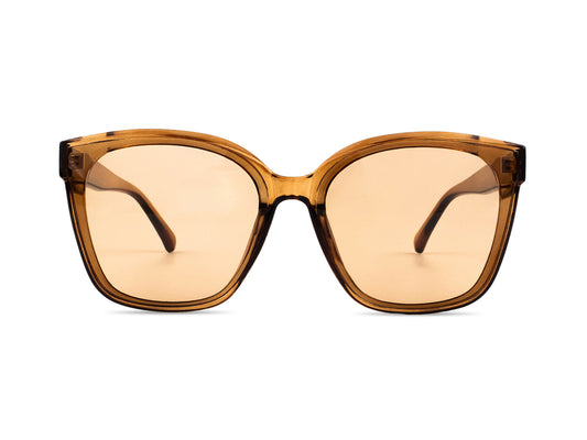 Sunglasses SG3544