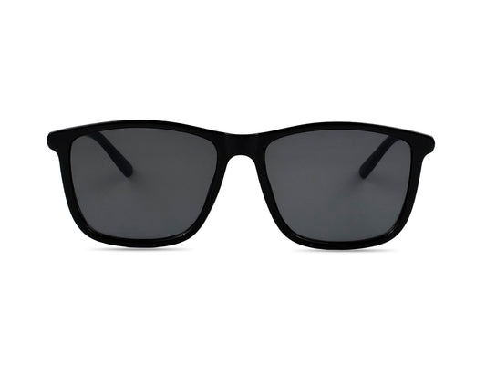 Sunglasses SG3551