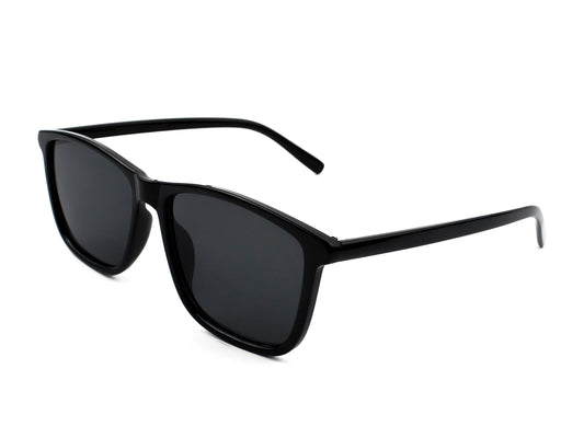 Sunglasses SG3551