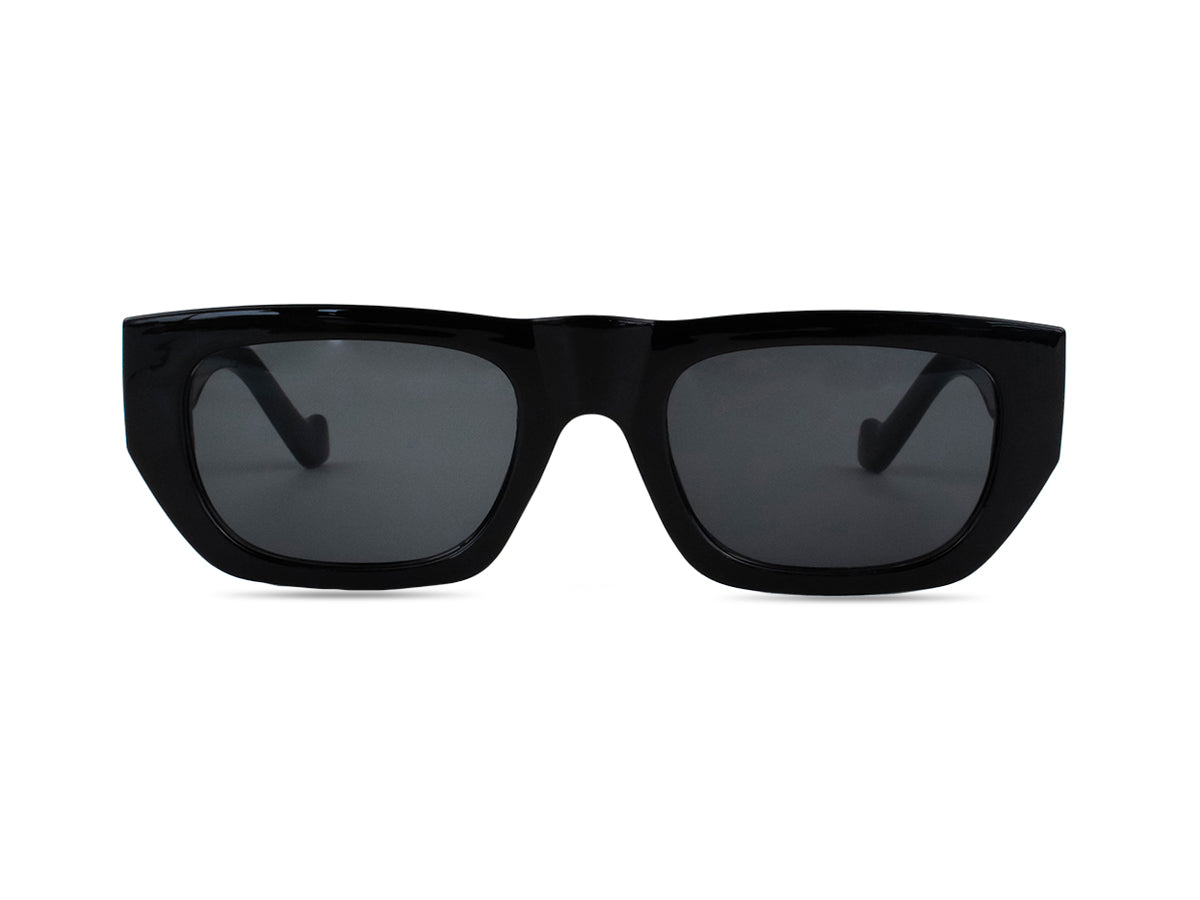 Sunglasses SG3564