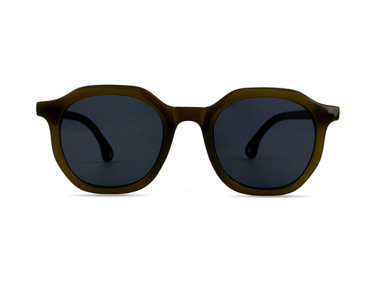 Sunglasses SG3580