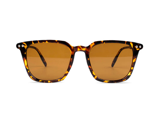 Sunglasses SG3612