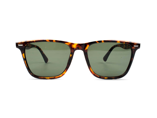 Sunglasses SG3614