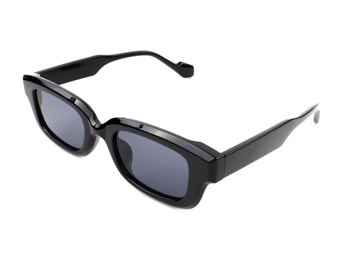 Sunglasses SG3619