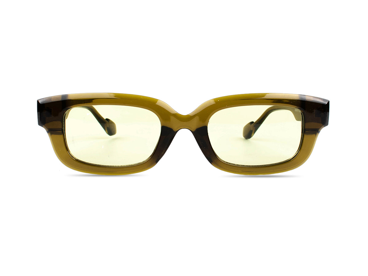 Sunglasses SG3619
