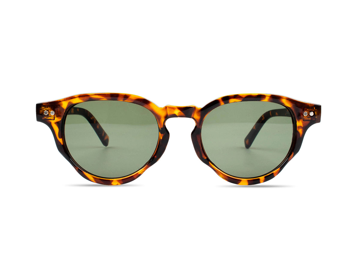 Sunglasses SG3622