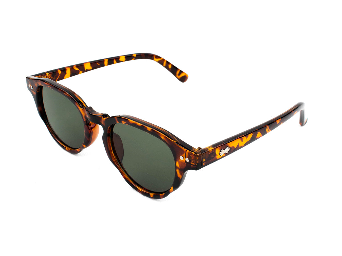 Sunglasses SG3622