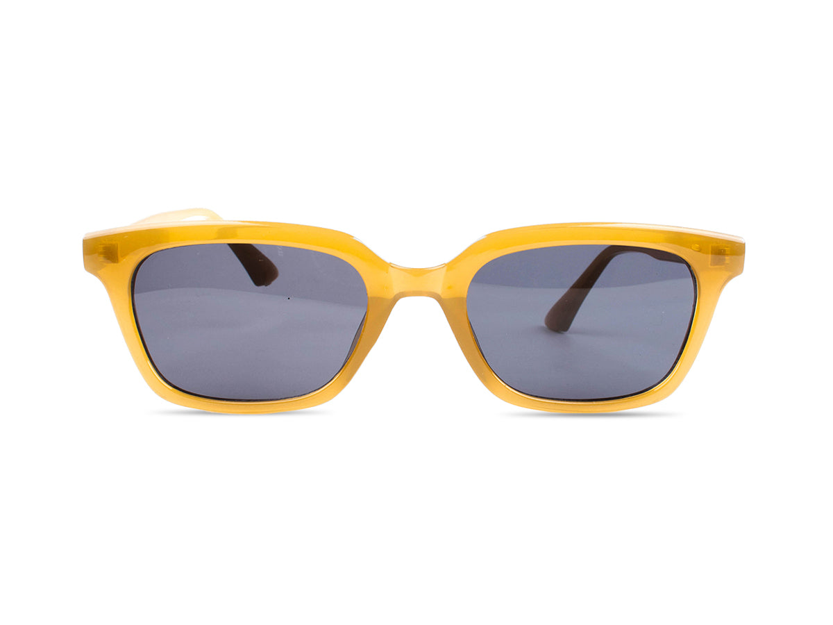 Sunglasses SG3634