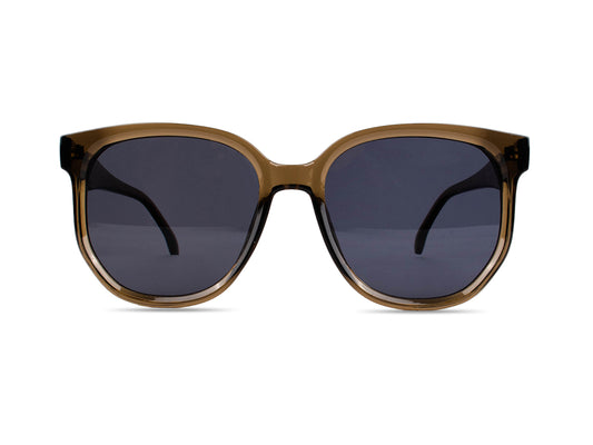 Sunglasses SG3643