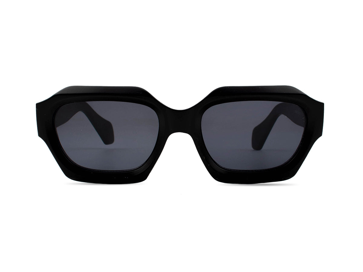 Sunglasses SG3658