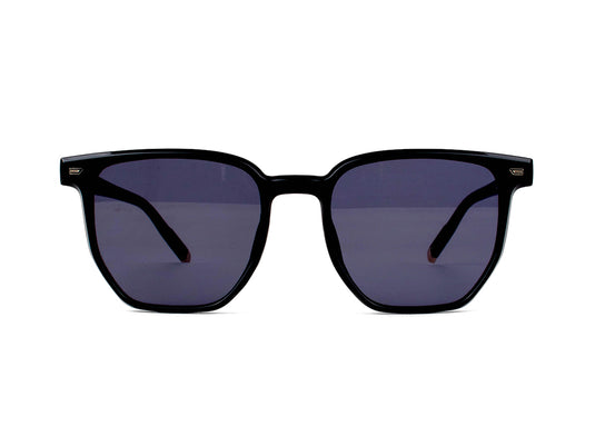 Sunglasses SG 3678