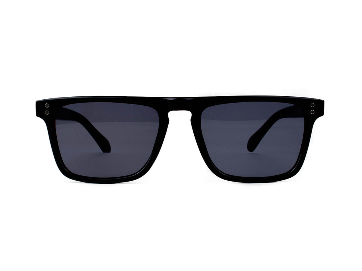 Sunglasses SG3680