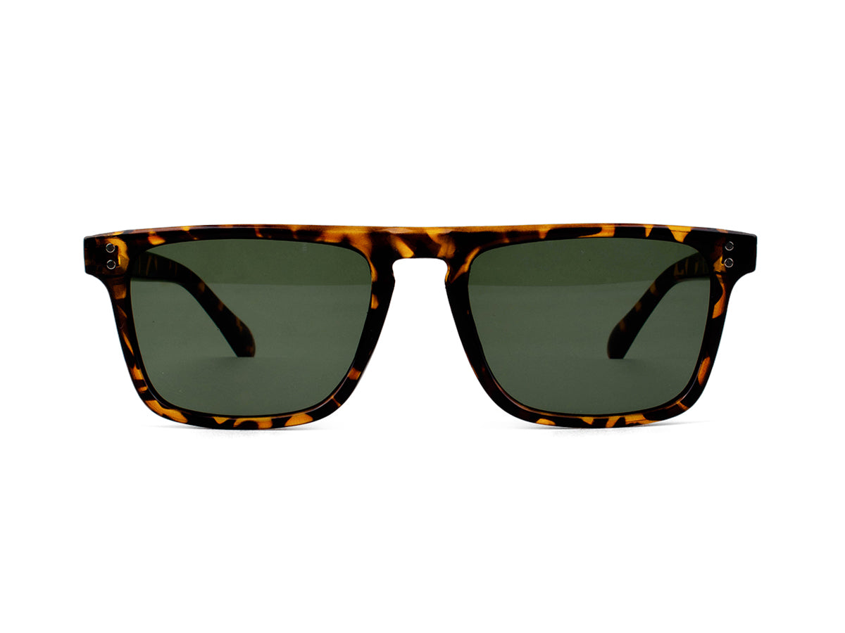 Sunglasses SG3680