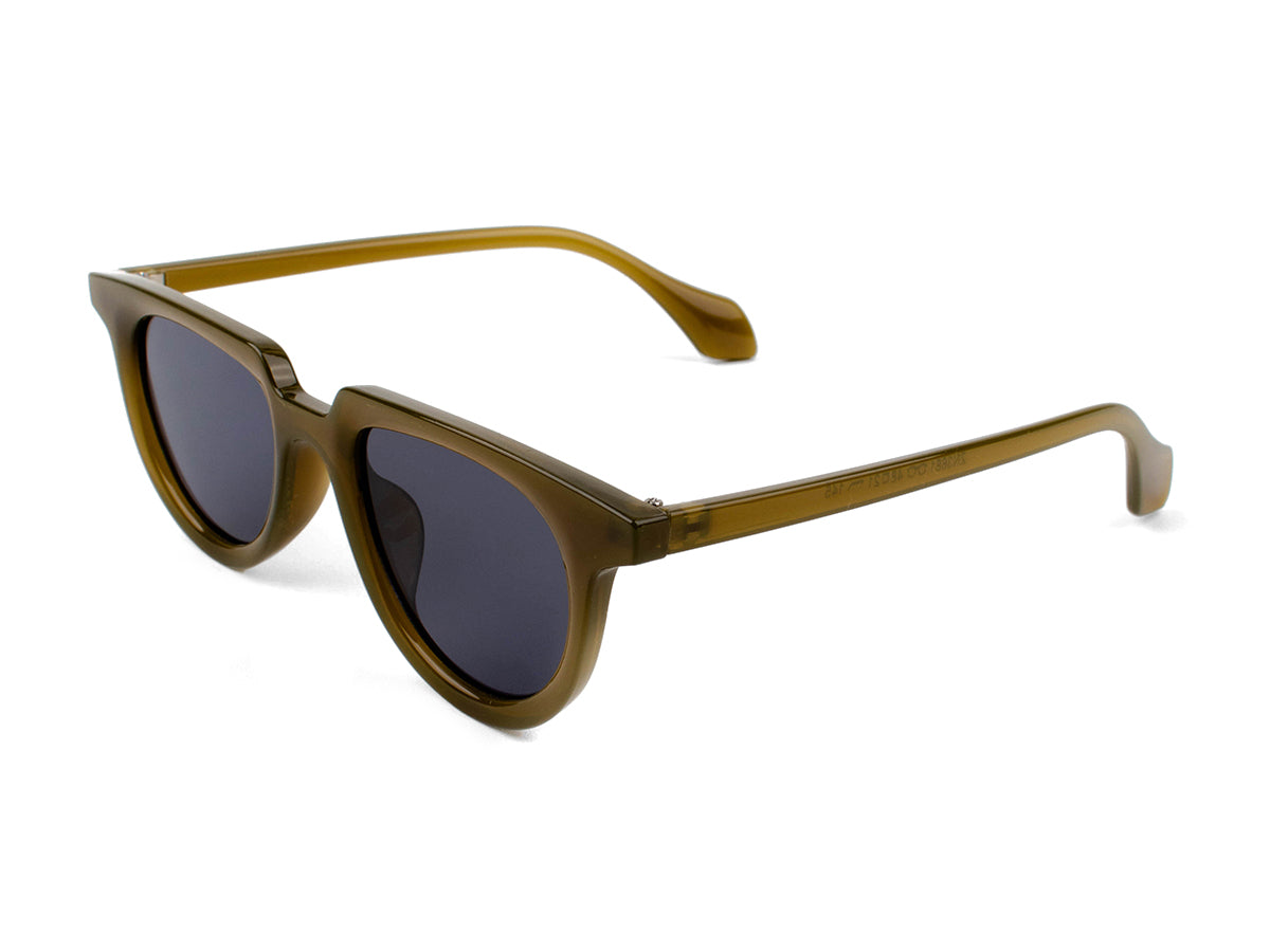 Sunglasses SG3681