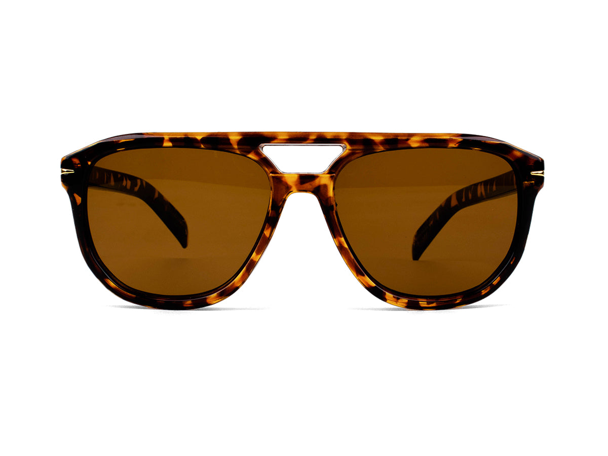 Sunglasses SG3682