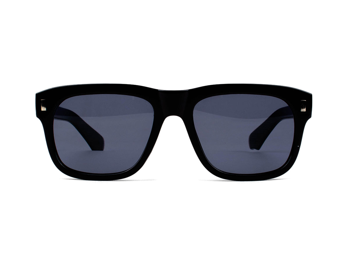 Sunglasses SG3683