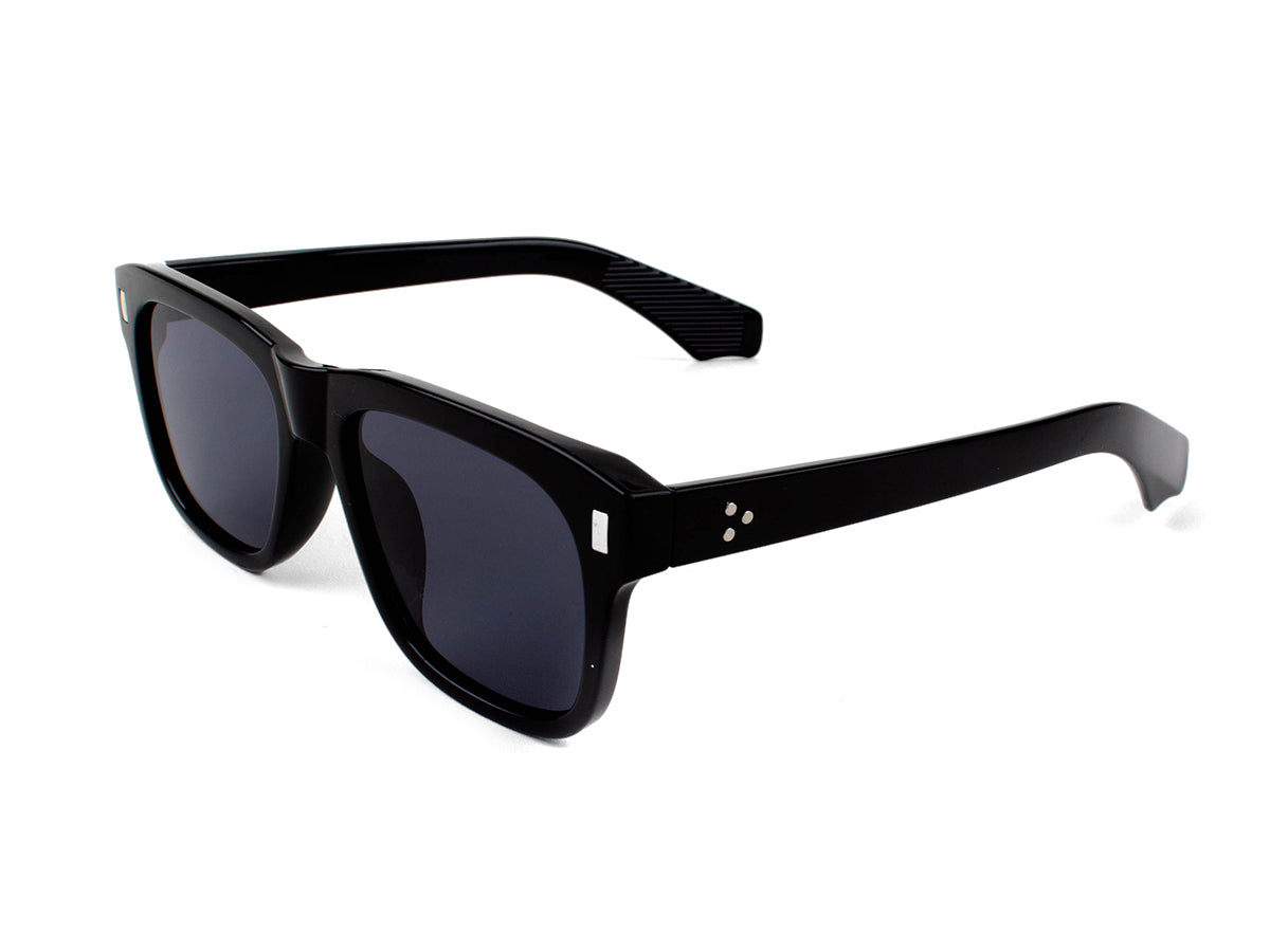 Sunglasses SG3683