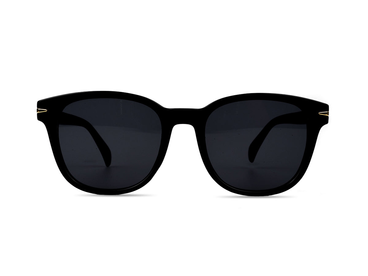 Sunglasses SG3689