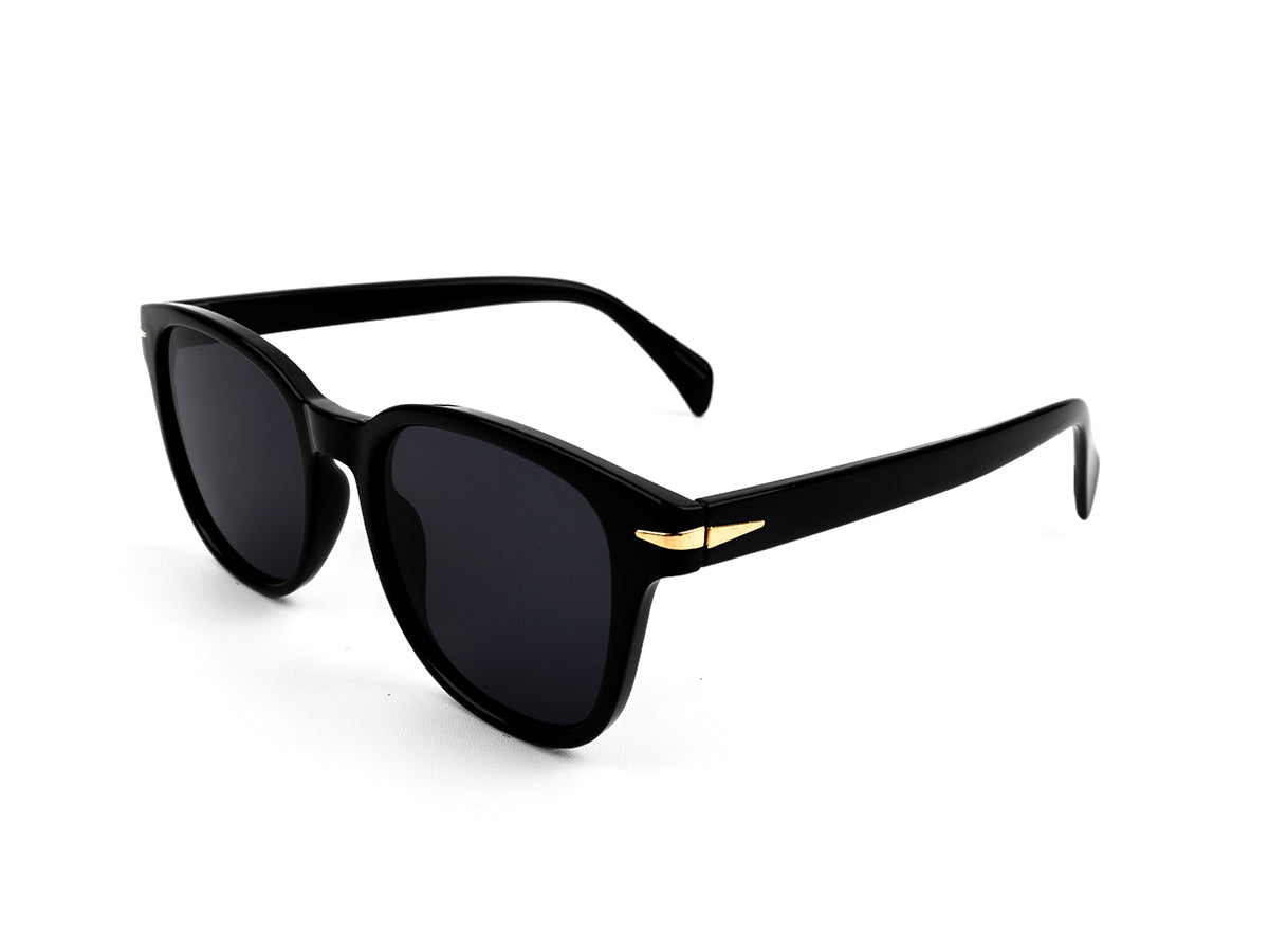 Sunglasses SG3689