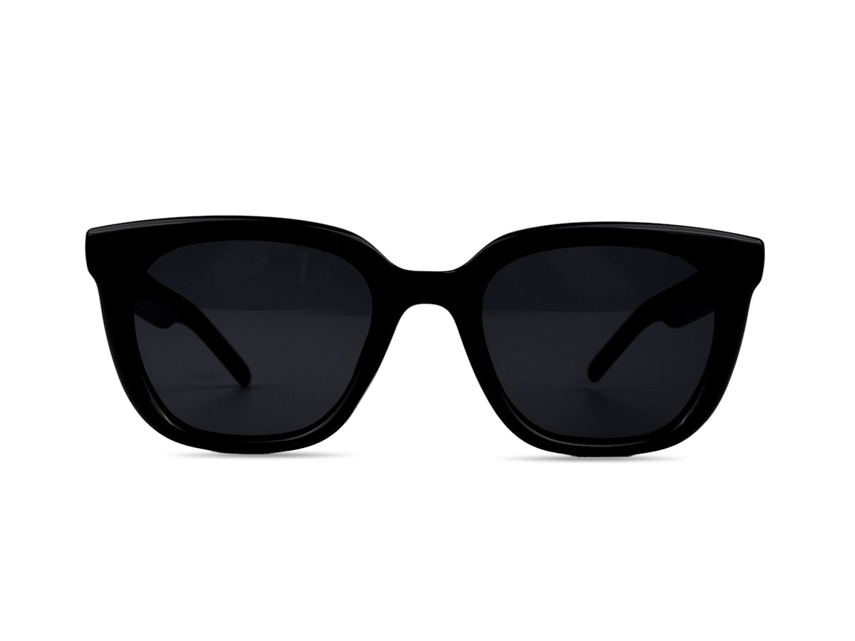 Sunglasses SG3713
