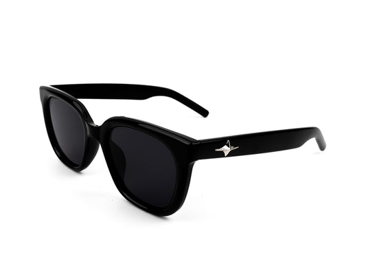Sunglasses SG 3713