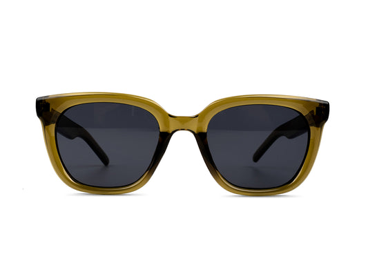 Sunglasses SG3713