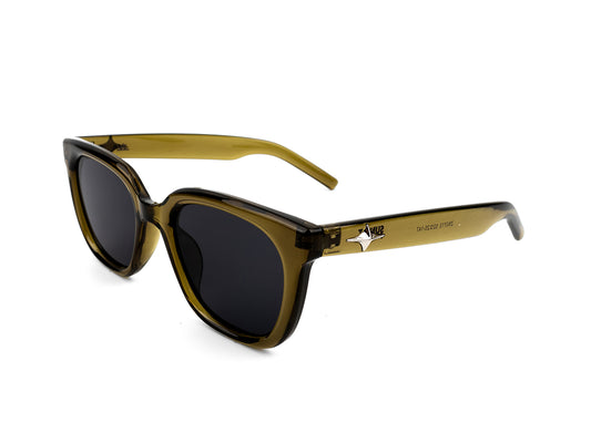 Sunglasses SG3713