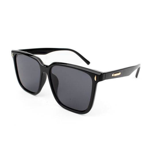Sunglasses SG 3796
