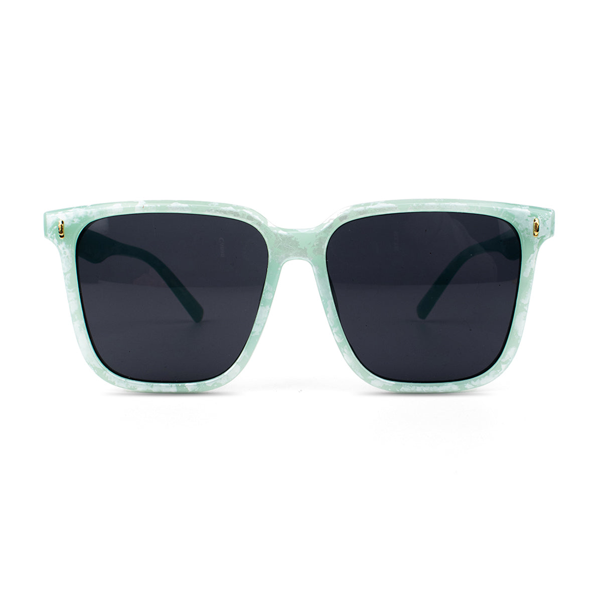 Sunglasses SG3796