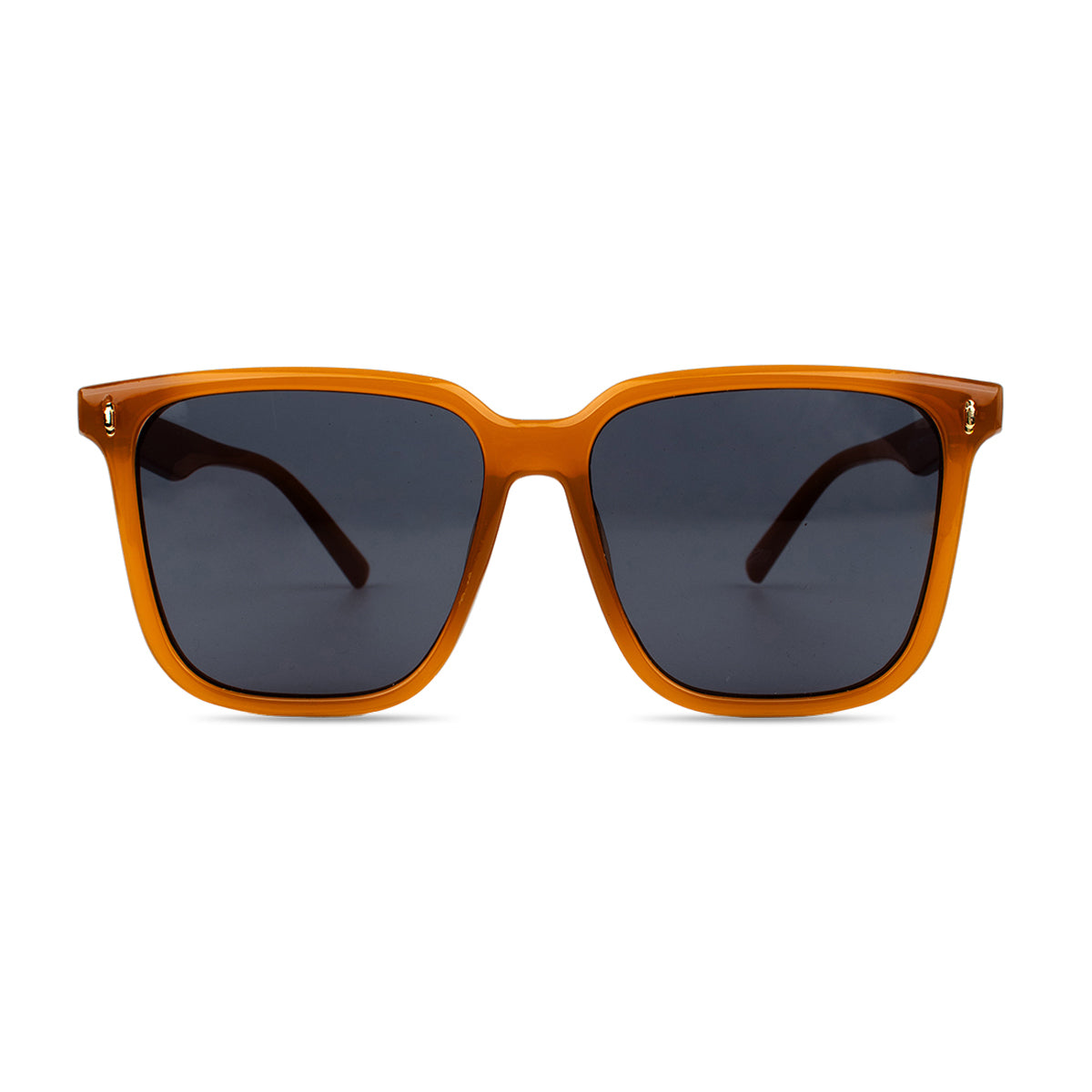 Sunglasses SG3796