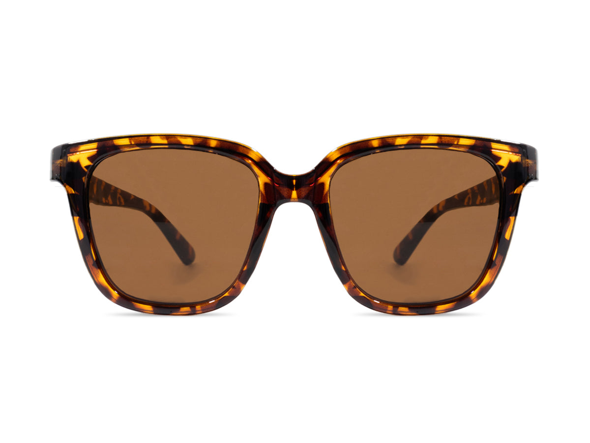 Sunglasses SG3799