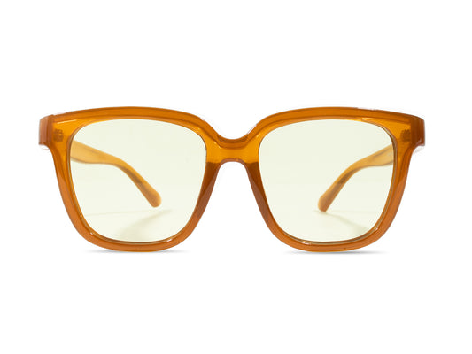 Sunglasses SG3799