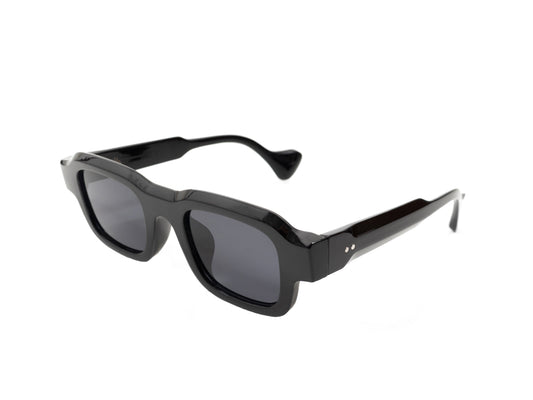 Sunglasses SG3809