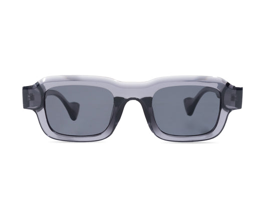 Sunglasses SG3809