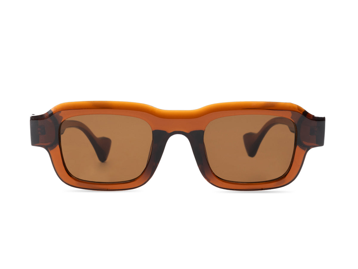 Sunglasses SG3809