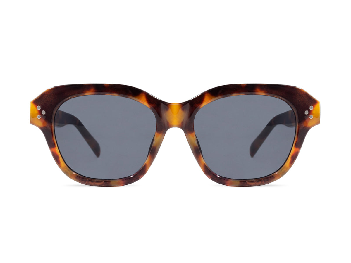 Sunglasses SG3810