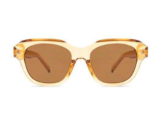 Sunglasses SG3810