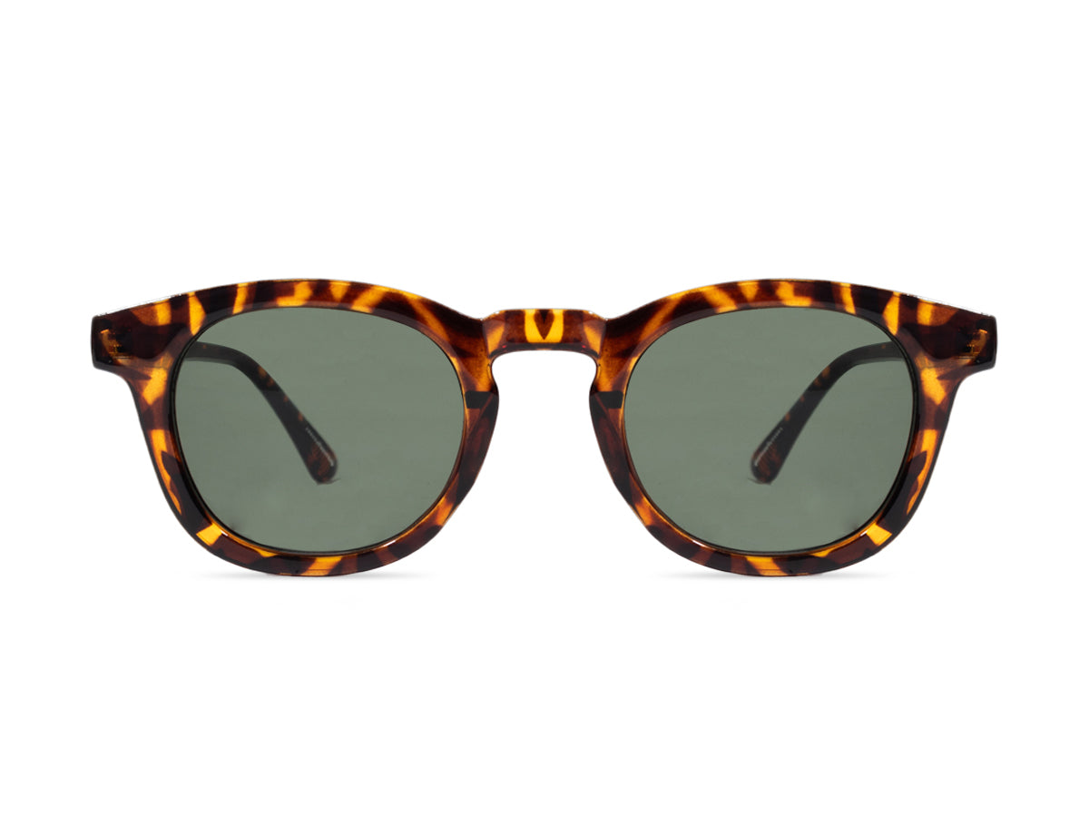 Sunglasses SG3811
