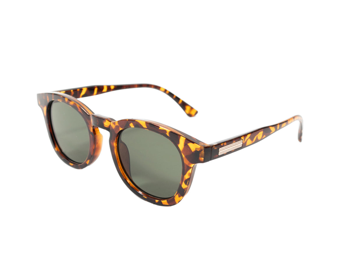 Sunglasses SG3811