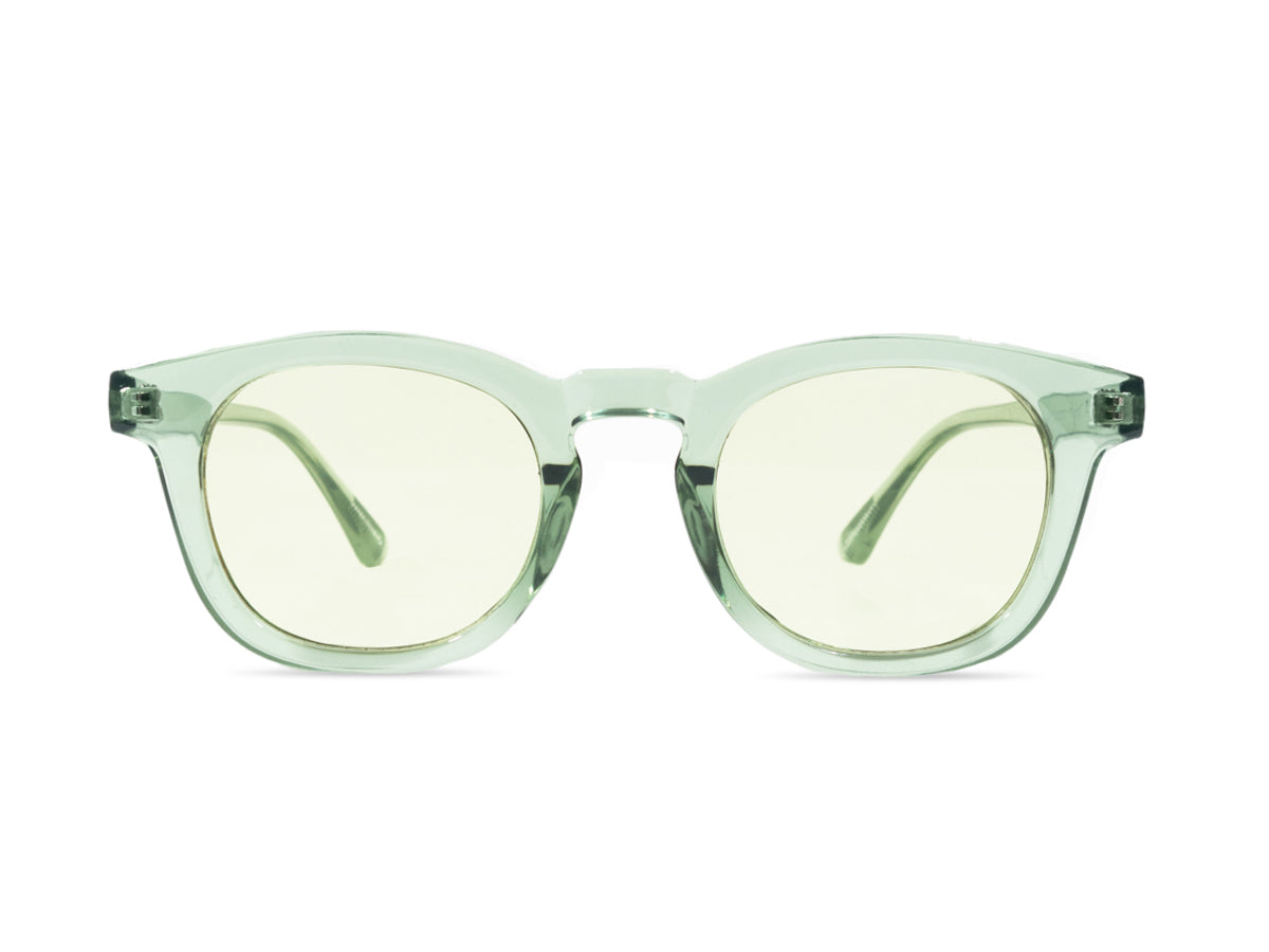 Sunglasses SG3811