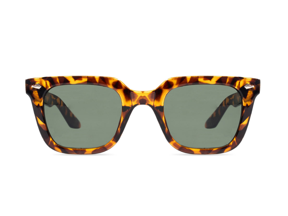 Sunglasses SG3812