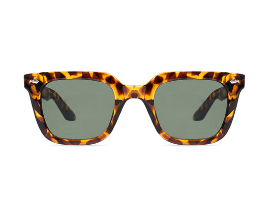 Sunglasses SG3812