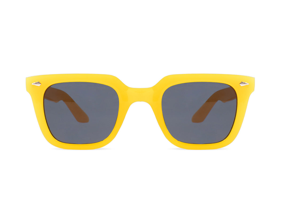 Sunglasses SG3812