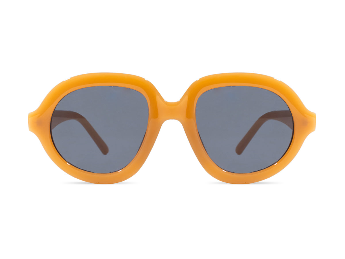 Sunglasses SG3815