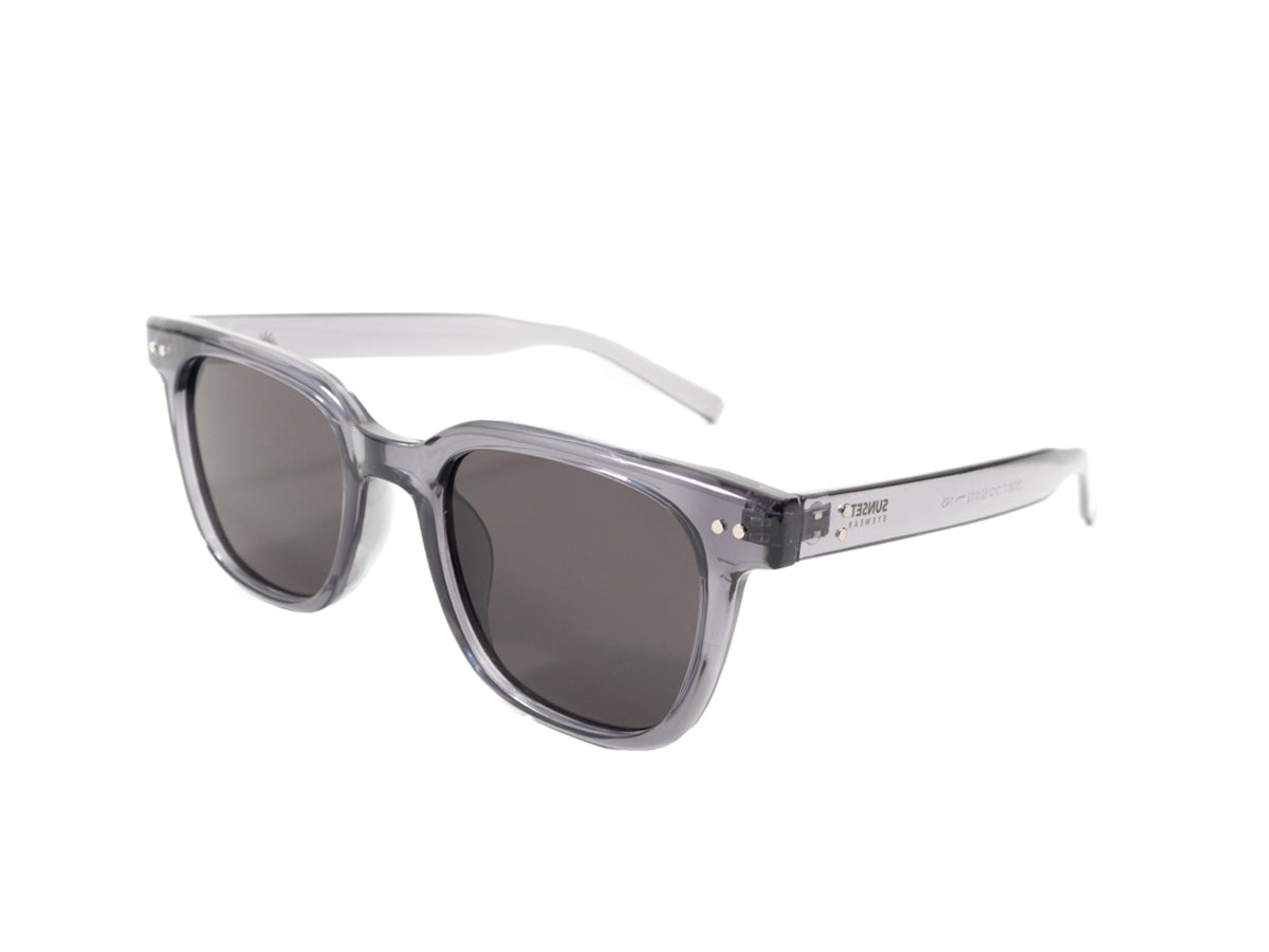 Sunglasses SG3817